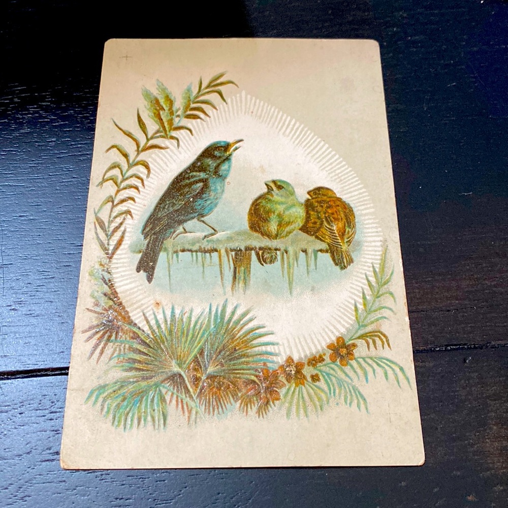 Antique Coffee advertising. Lion Coffee in Toledo. Gift unique gift!